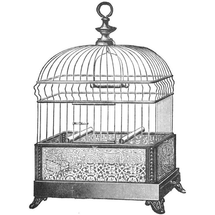 Etchings Birdcage - Gable top, filigree base.-Paper Art-20&quotx20"