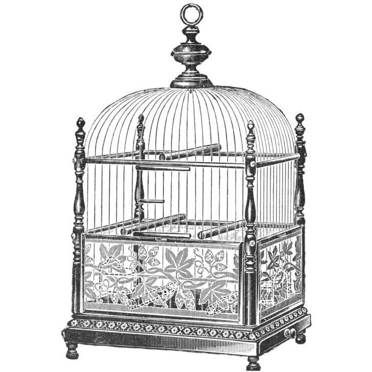 Etchings Birdcage - Dome top, spindle corners, vine detail base.-Paper Art-20&quotx20"