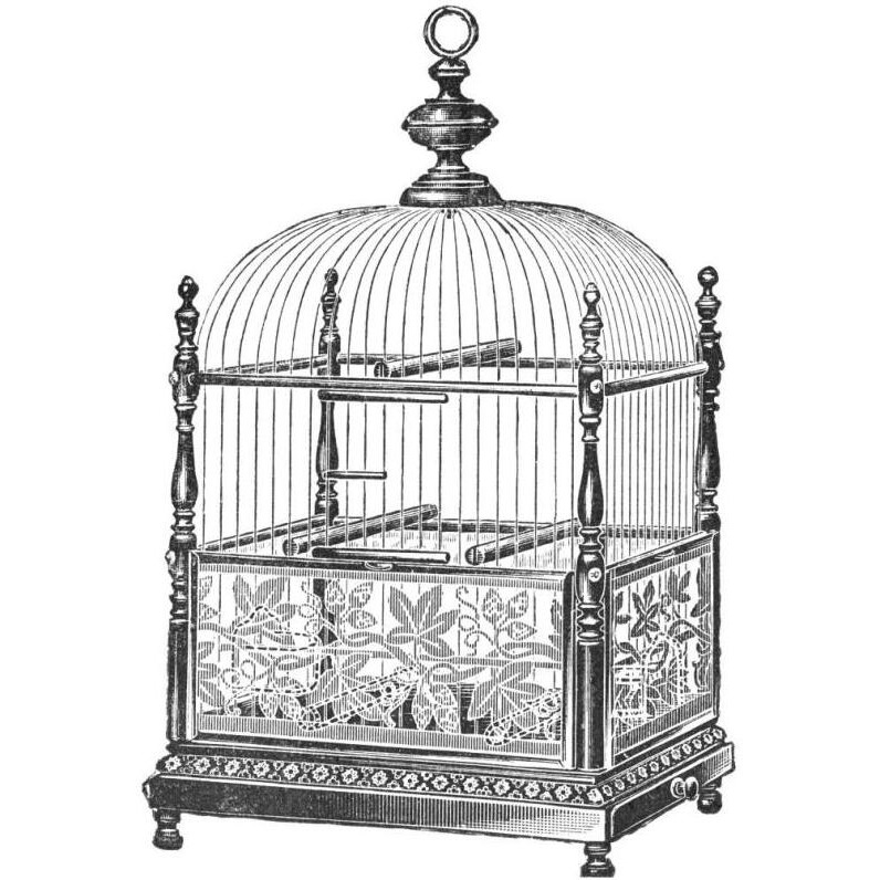Etchings Birdcage - Dome top, spindle corners, vine detail base.-Paper Art-42&quotx42"