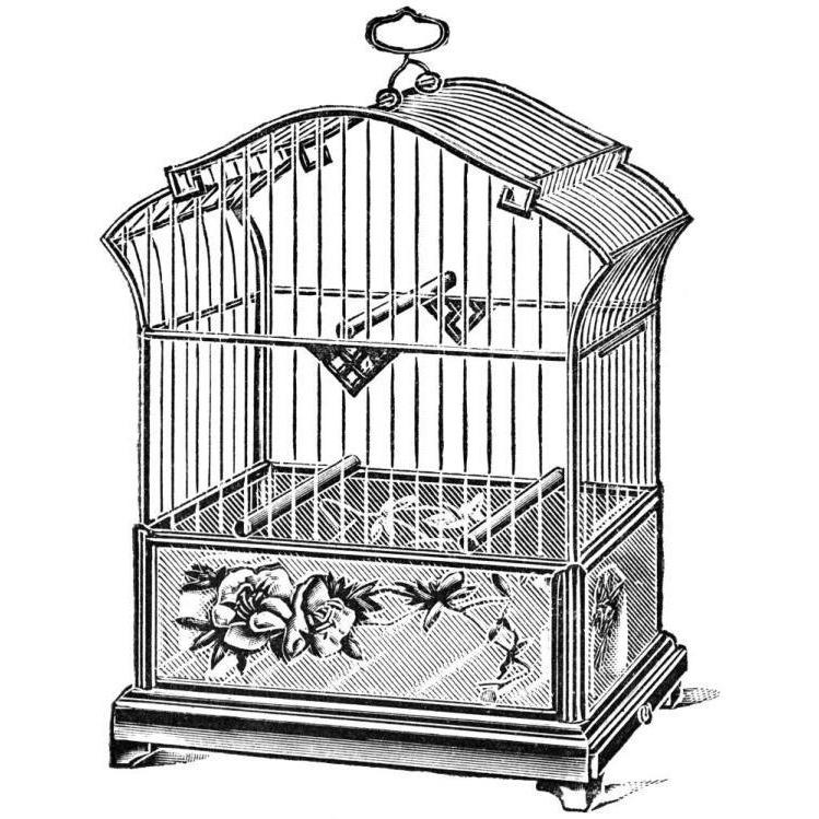 Etchings Birdcage - Gable top, rose base.-Paper Art-20&quotx20"