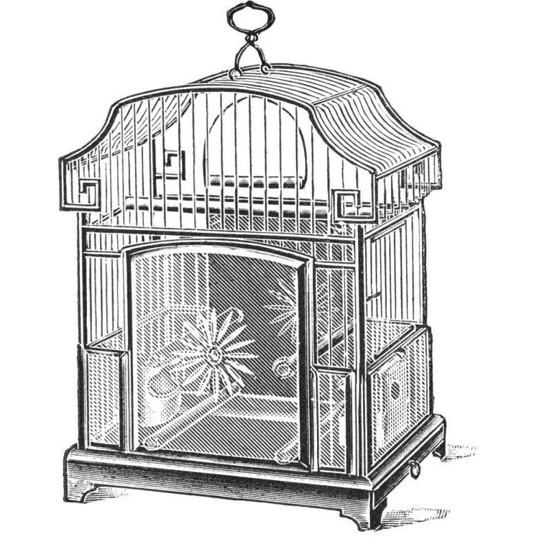 Etchings Birdcage - Gable top, daisy base.-Paper Art-38&quotx38"