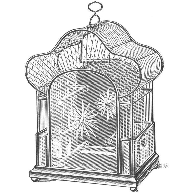 Etchings Birdcage - Palmate top, daisy detail.-Paper Art-38&quotx38"