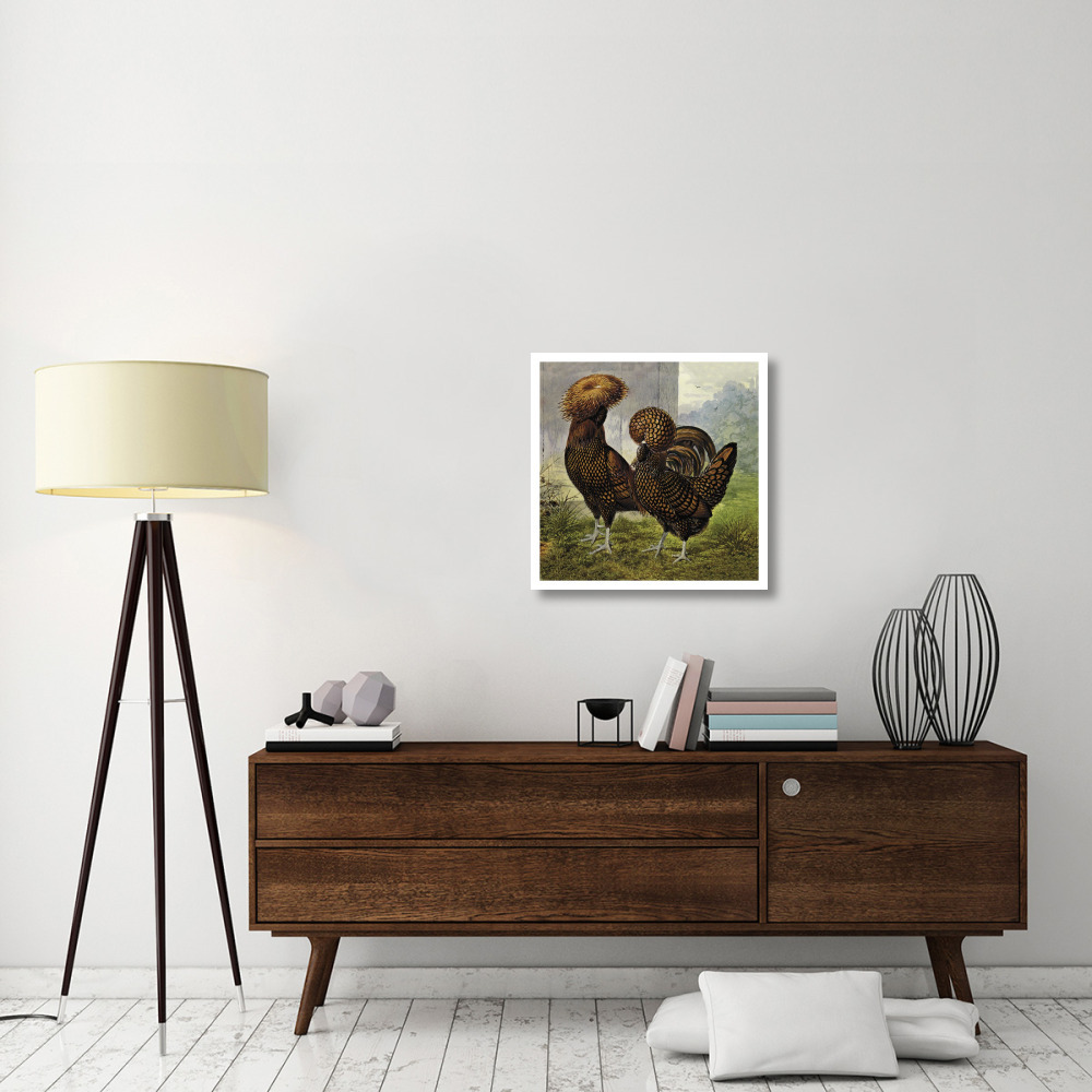 Chickens Gold Spangled Polish-Paper Art-26&quotx26"