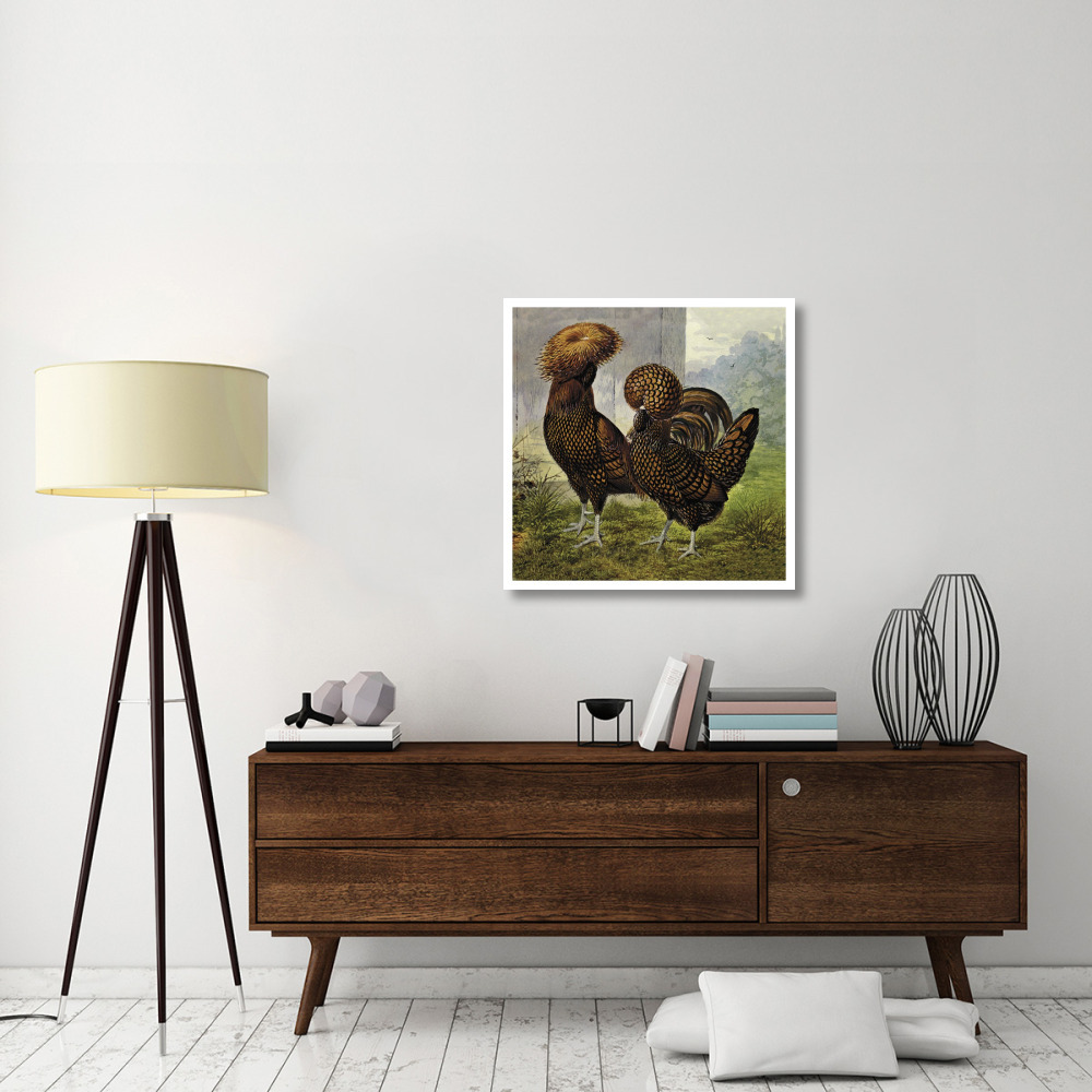 Chickens Gold Spangled Polish-Paper Art-32&quotx32"