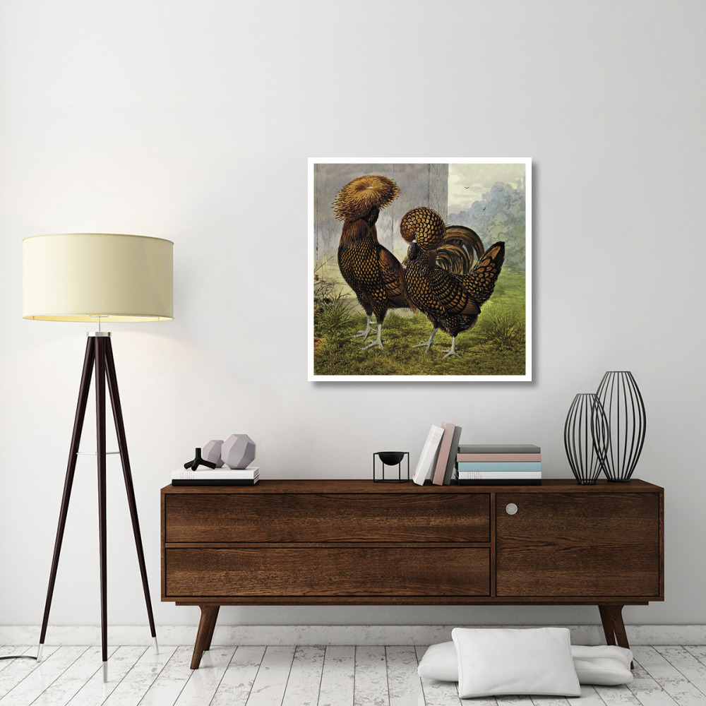 Chickens Gold Spangled Polish-Paper Art-38&quotx38"
