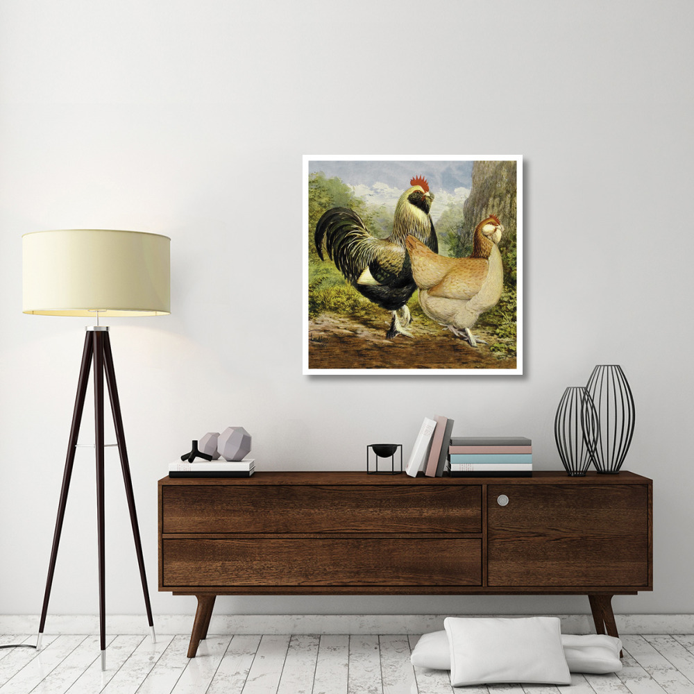 Chickens Salmon Faverolles-Paper Art-38&quotx38"