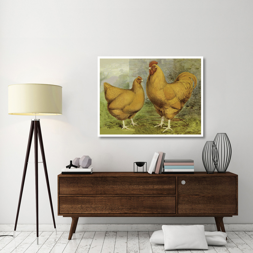 Chickens Buff Orpingtons-Paper Art-50&quotx38"