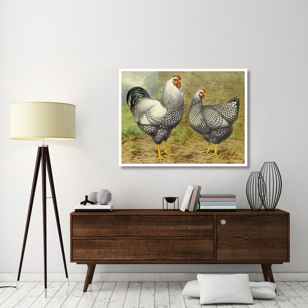 Chickens Silver Laced Wyandottes-Paper Art-50&quotx38"