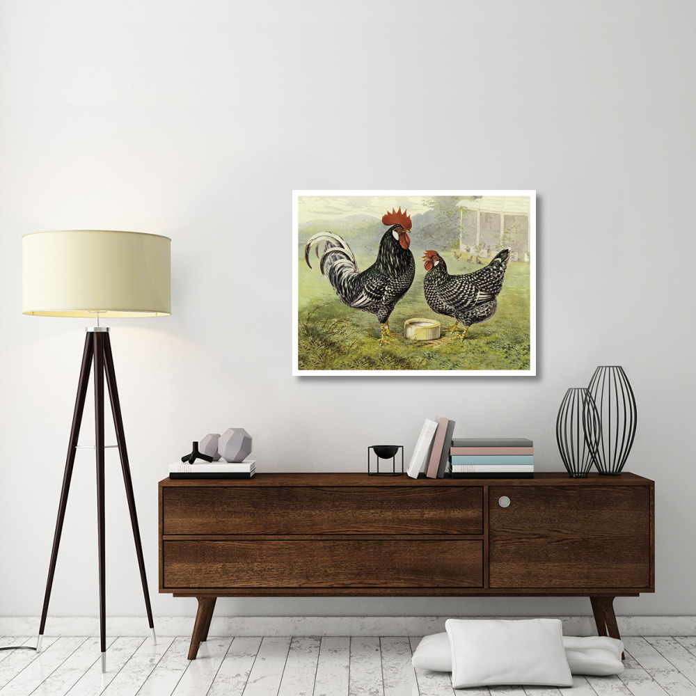 Chickens Anconas-Paper Art-42&quotx32"