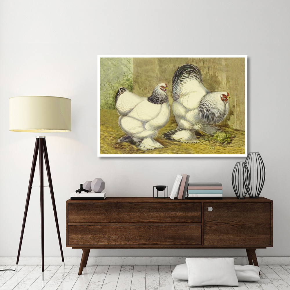 Chickens Light Brahmas-Paper Art-62&quotx42"