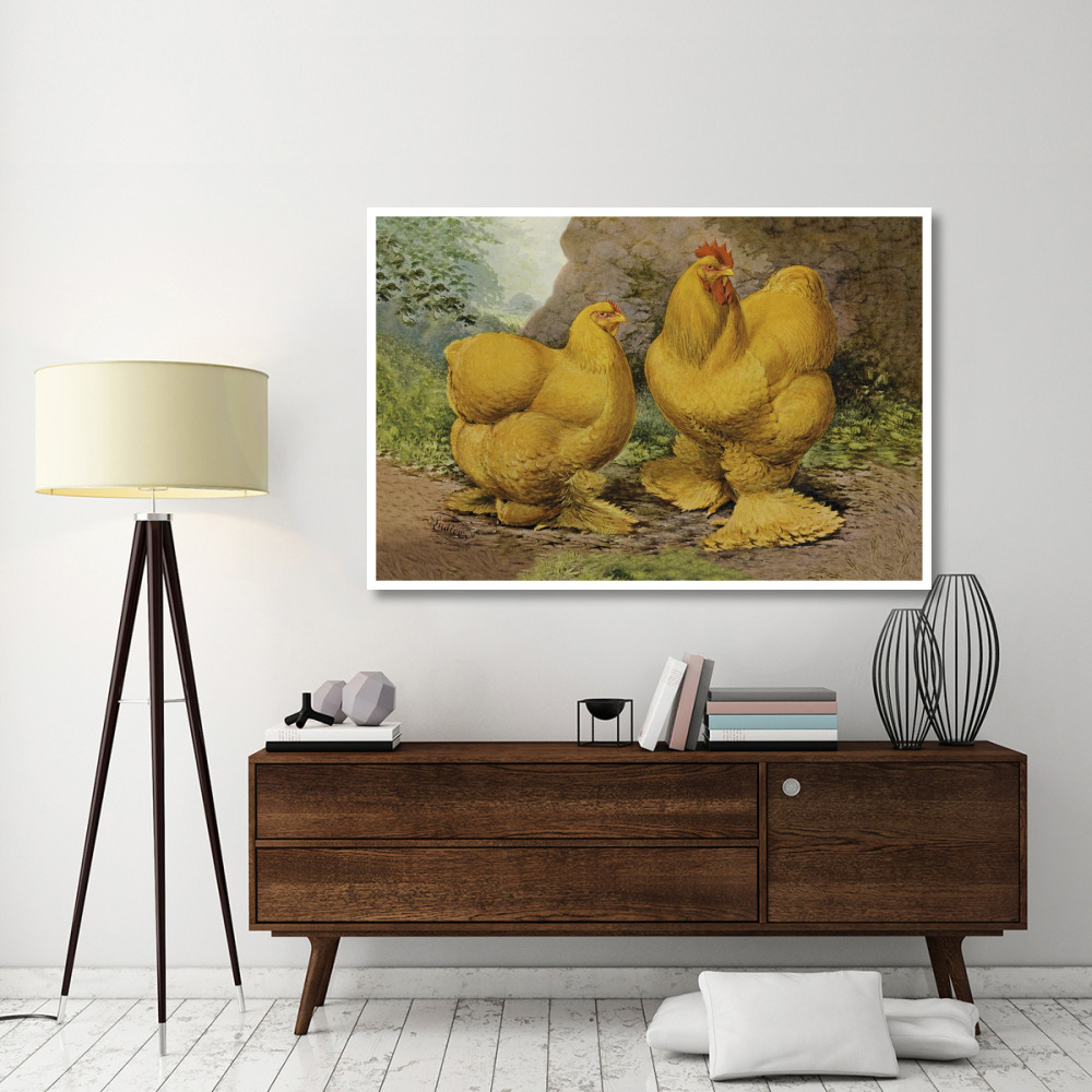 Chickens Buff Cochins-Paper Art-62&quotx42"