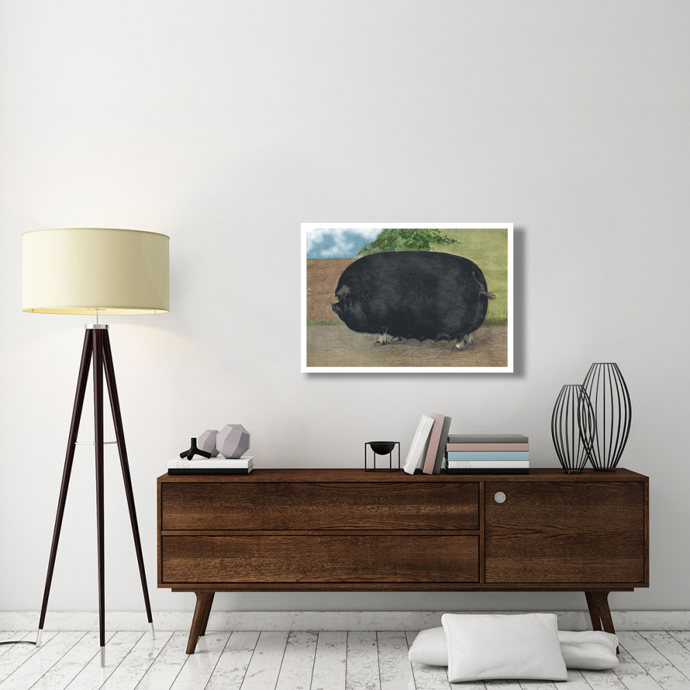 Pigs and Pork Champion Sow-Paper Art-38&quotx26"