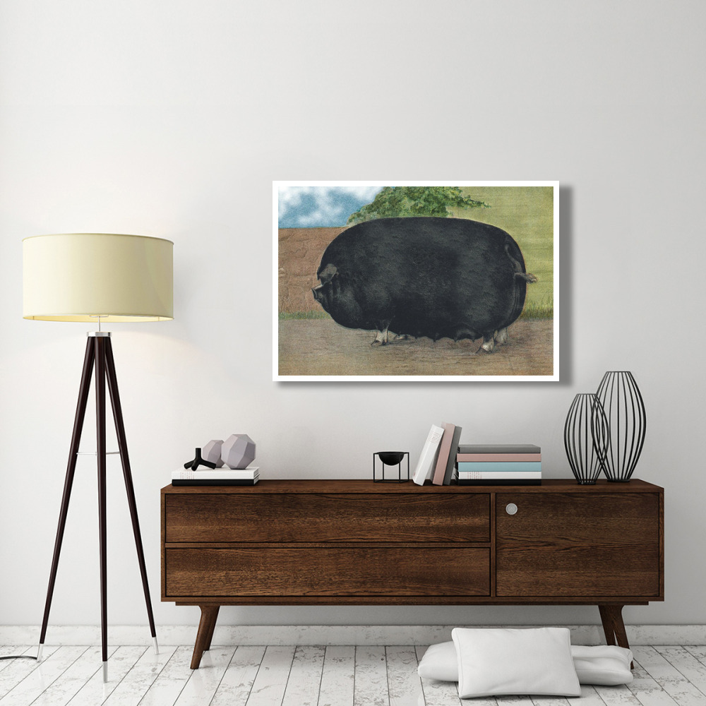 Pigs and Pork Champion Sow-Paper Art-50&quotx34"