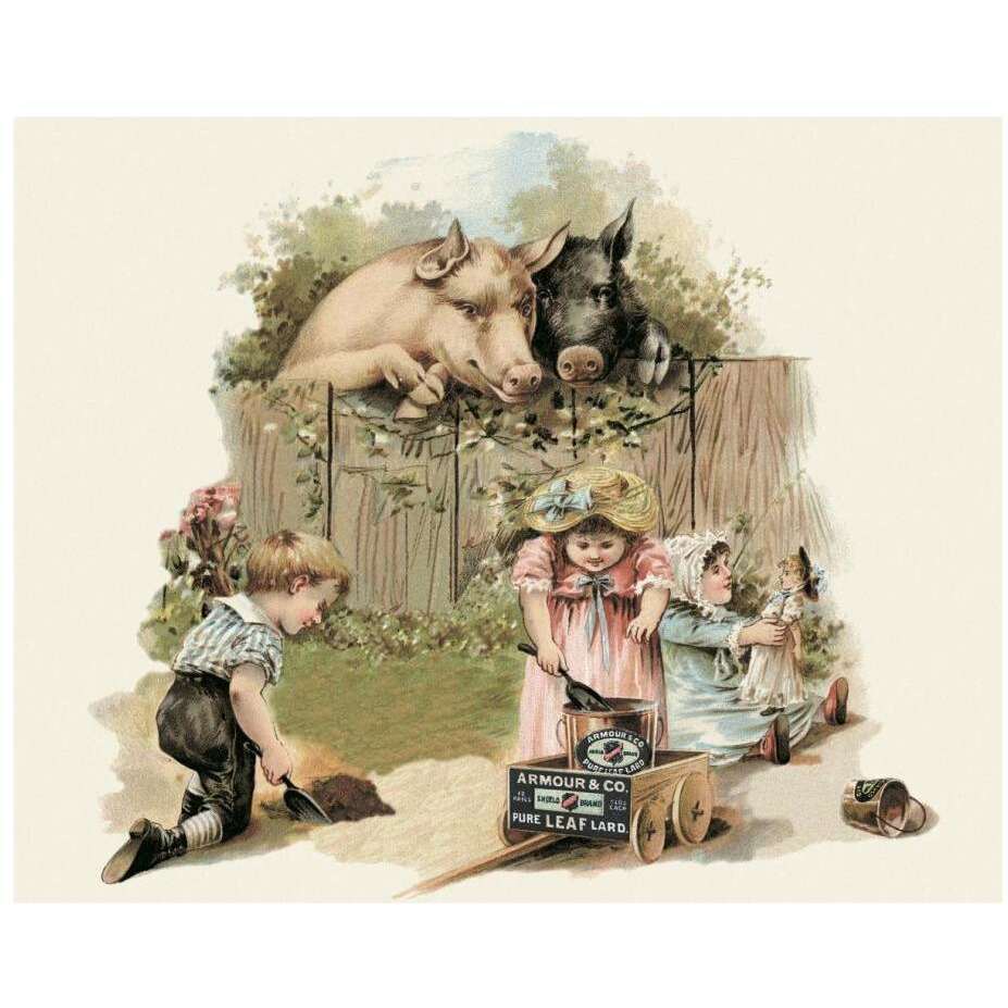 Pigs and Pork Curious Pigs-Paper Art-22&quotx18"