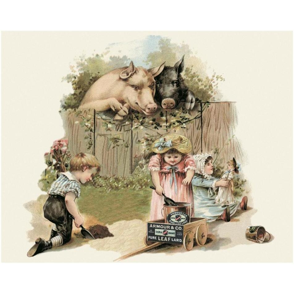 Pigs and Pork Curious Pigs-Paper Art-37&quotx30"