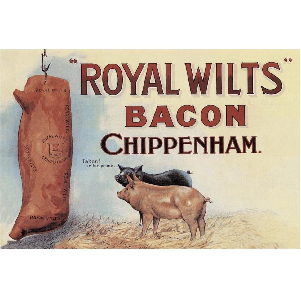 Pigs and Pork Royal Wilts Bacon-Paper Art-62&quotx42"