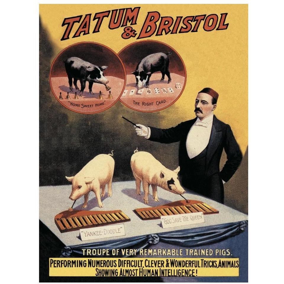 Pigs and Pork Tatum and Bristol's Troupe of Trained Pigs-Paper Art-14&quotx18"