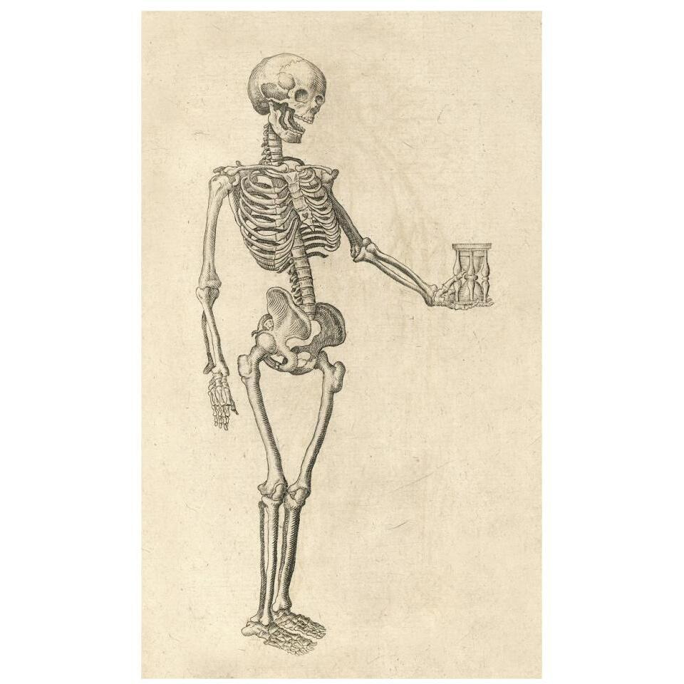 Human Skeleton with Hourglass-Paper Art-20&quotx32"