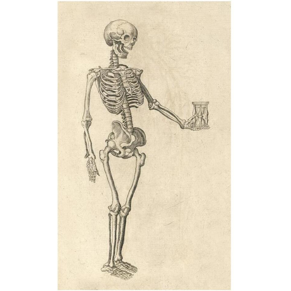 Human Skeleton with Hourglass-Paper Art-24&quotx38"