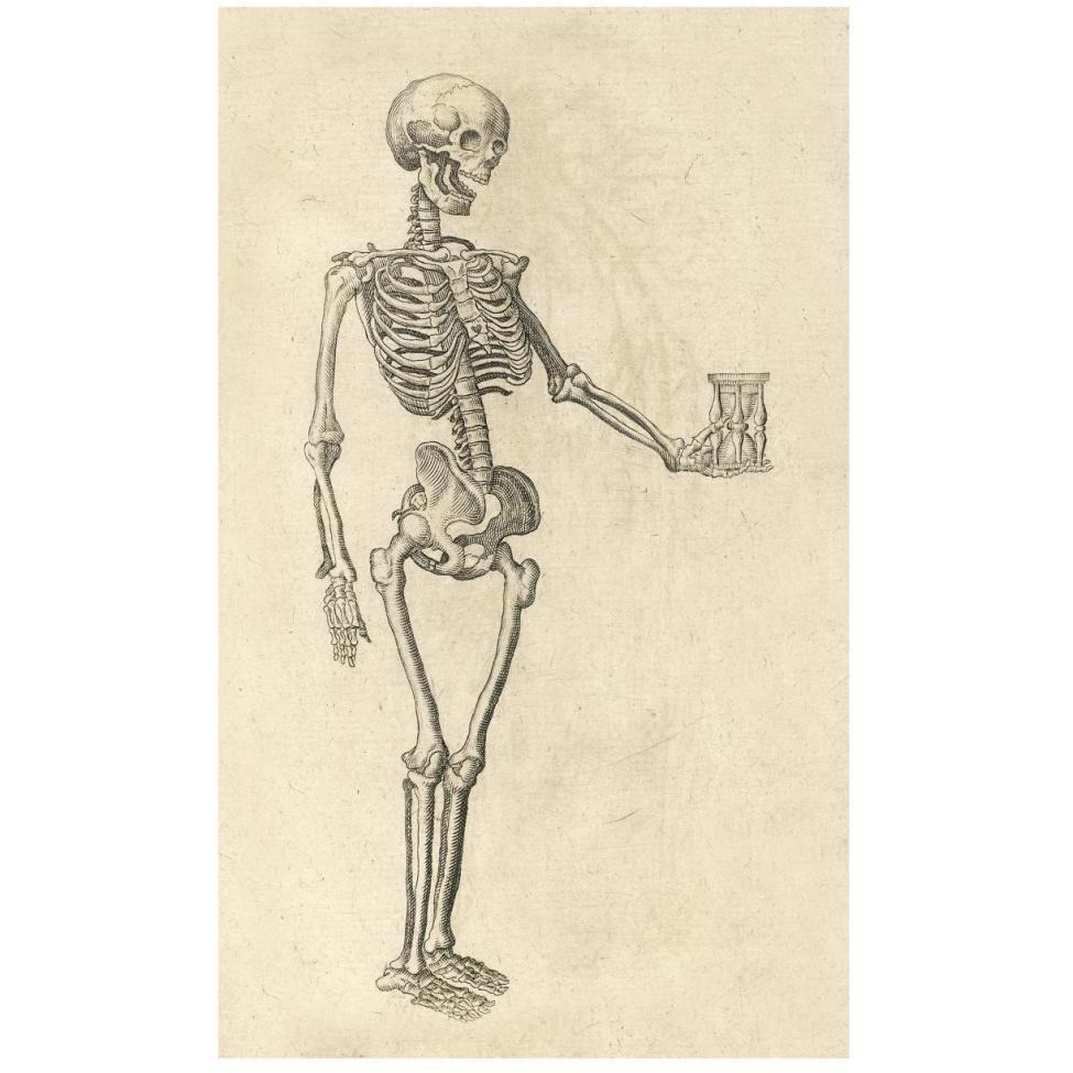 Human Skeleton with Hourglass-Paper Art-28&quotx46"