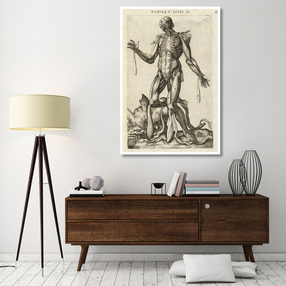Male figure with muscles and skeleton-Paper Art-42&quotx62"
