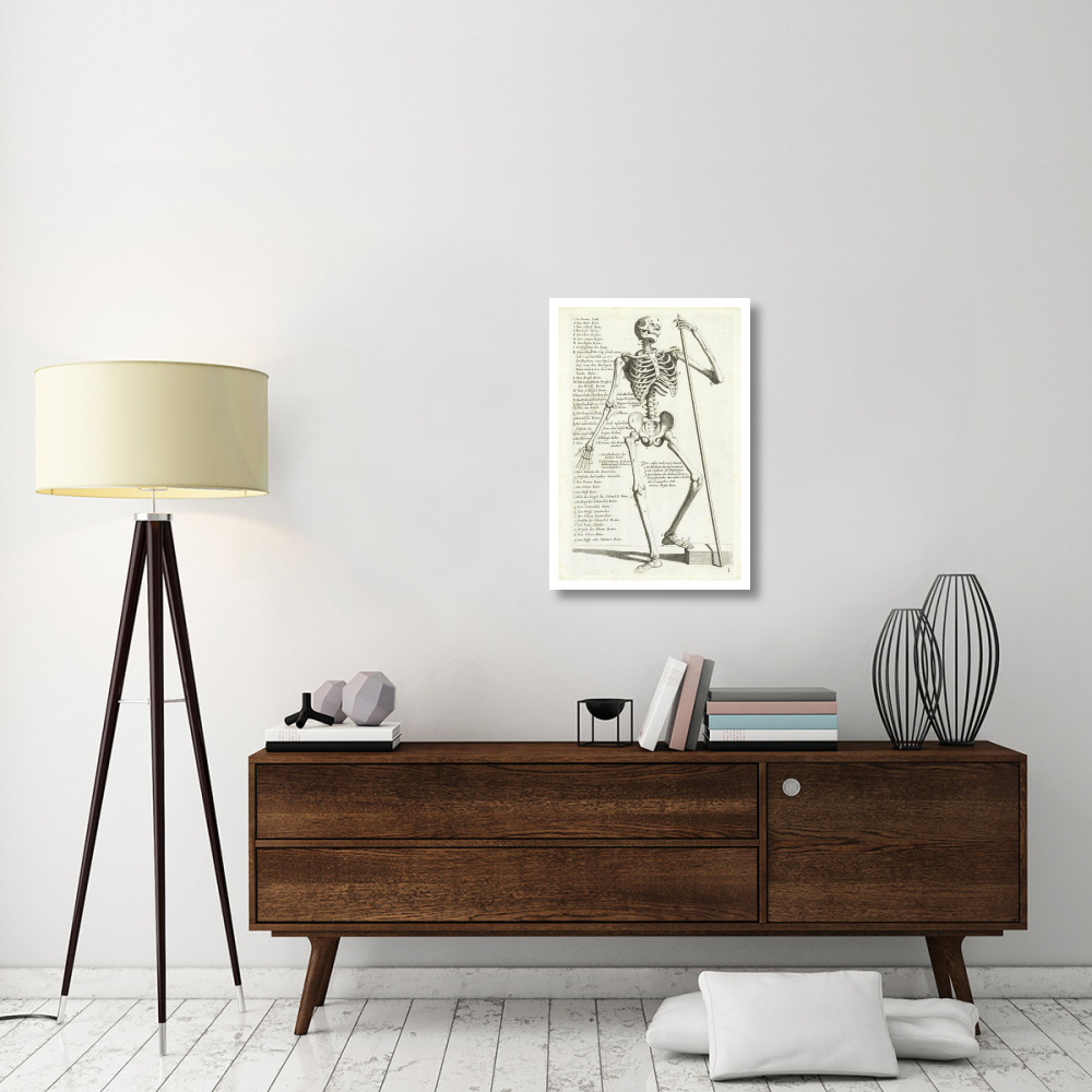 Anatomical diagram showing human skeleton, front view, with legends-Paper Art-22&quotx32"