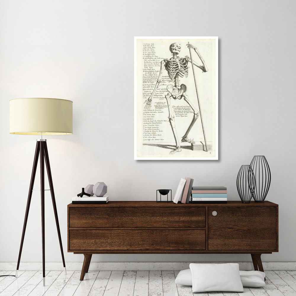 Anatomical diagram showing human skeleton, front view, with legends-Paper Art-34&quotx50"