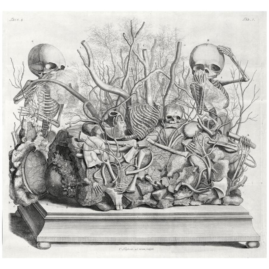 Diorama of fetal skeletons arranged with various internal organs-Paper Art-18&quotx17"