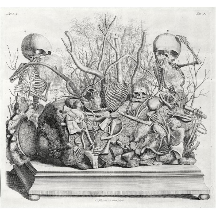 Diorama of fetal skeletons arranged with various internal organs-Paper Art-24&quotx22"