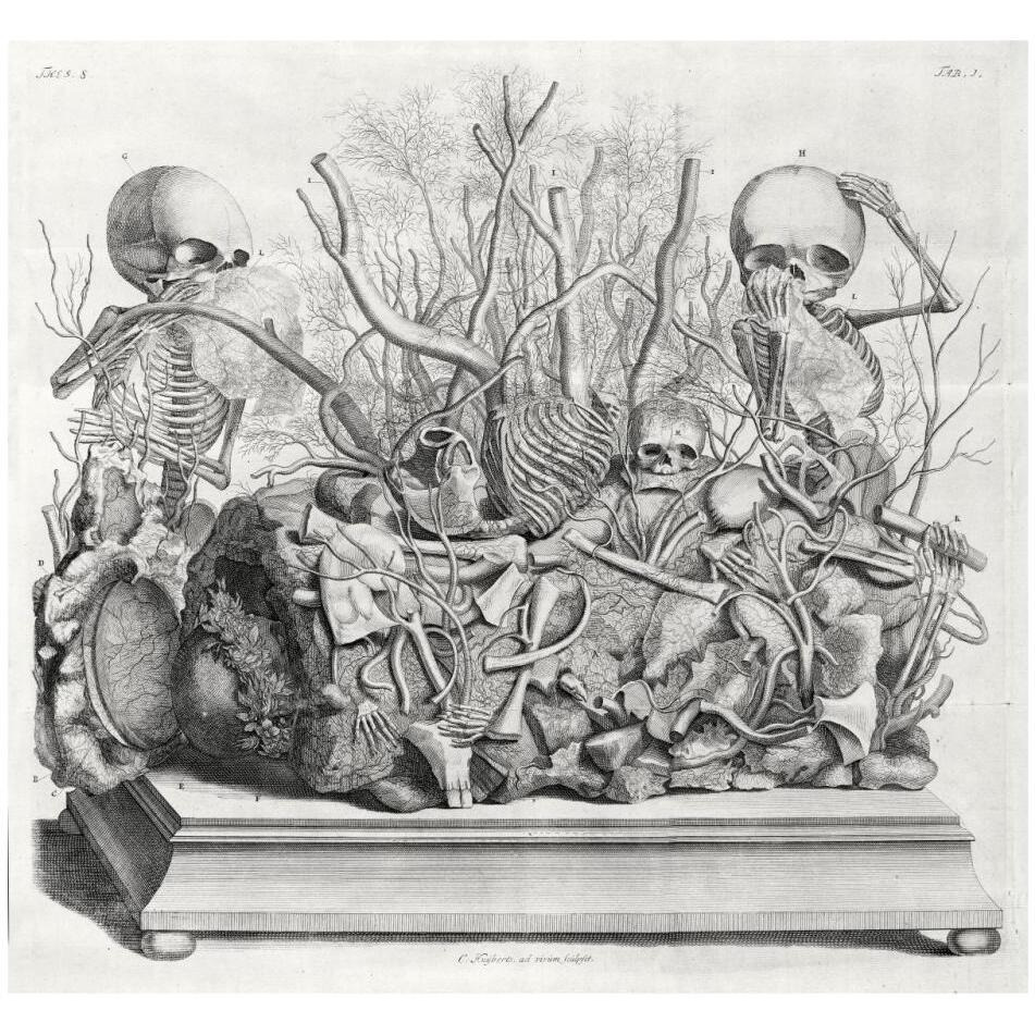 Diorama of fetal skeletons arranged with various internal organs-Paper Art-32&quotx30"