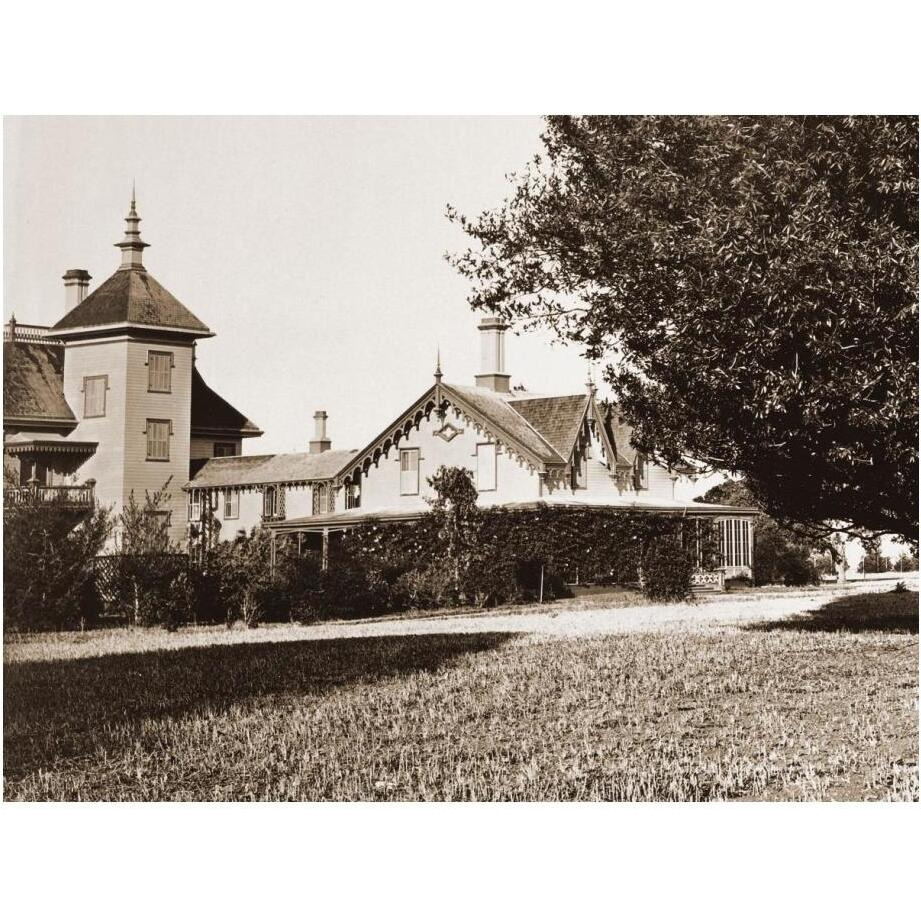 Residence of Mr. Howard, San Mateo, California, with Olive Tree, 1863-1880-Paper Art-24&quotx19"