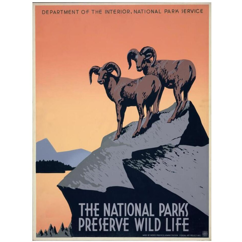 The National Parks Preserve Wild Life, ca. 1936-1939-Paper Art-14&quotx18"