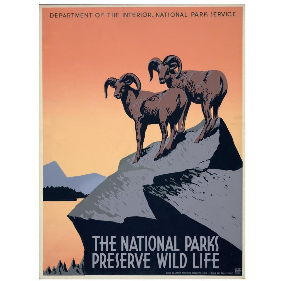 The National Parks Preserve Wild Life, ca. 1936-1939-Paper Art-26&quotx34"