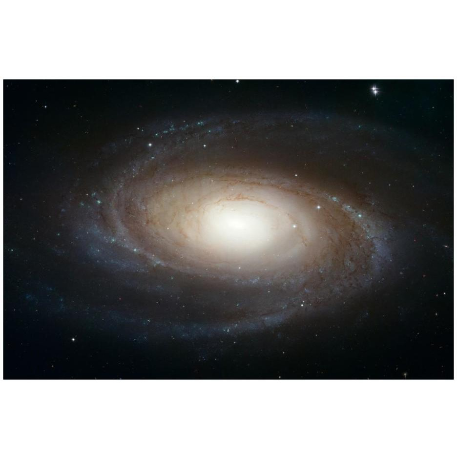 Spiral Galaxy M81-Paper Art-26&quotx18"