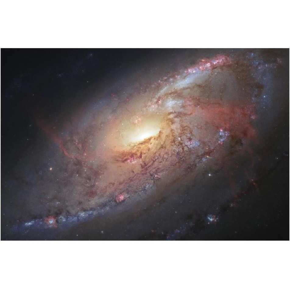 Galaxy M106-Paper Art-20&quotx14"
