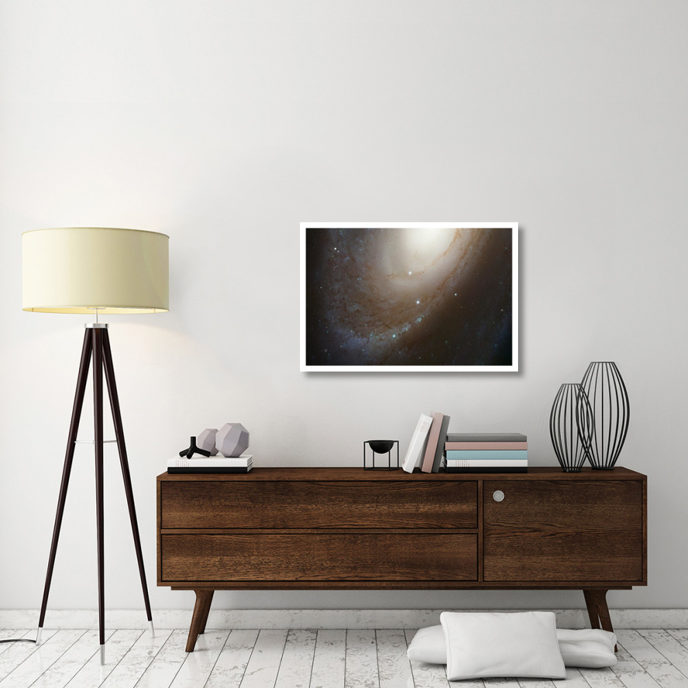 HST ACS Image of M81-Paper Art-38&quotx26"