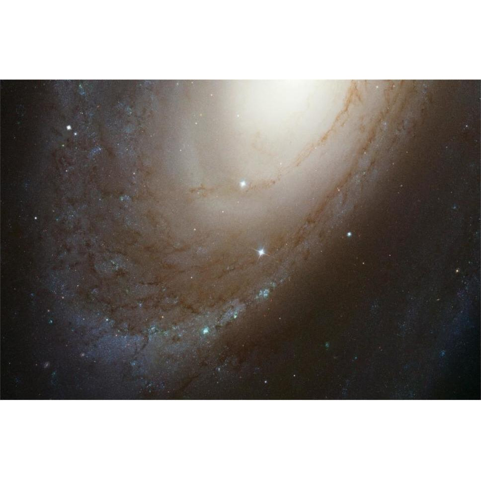 HST ACS Image of M81-Paper Art-62&quotx42"