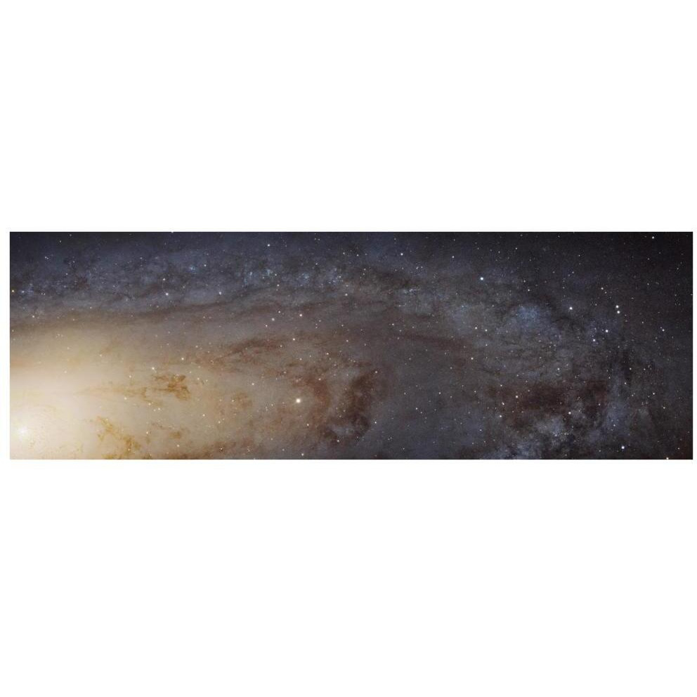 Hubble M31 PHAT Mosaic - Andromeda Panorama-Paper Art-74&quotx26"