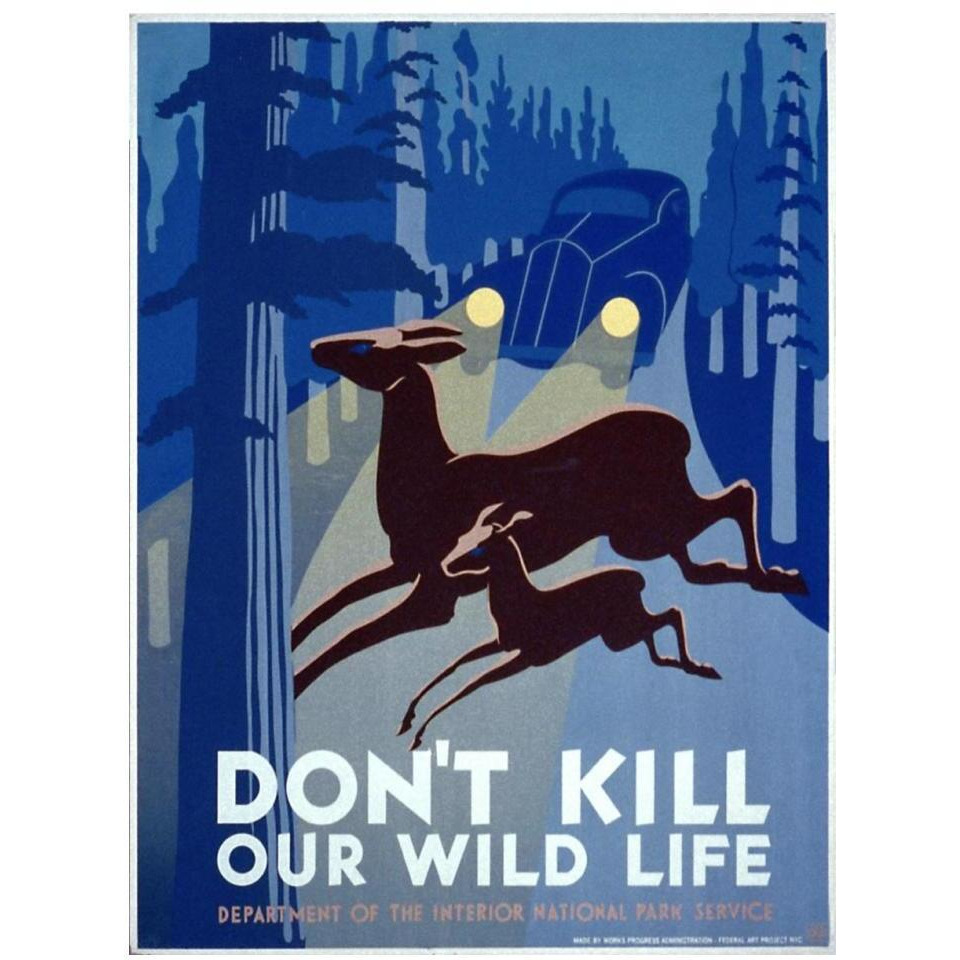 Don't kill our wild life-Paper Art-14&quotx18"