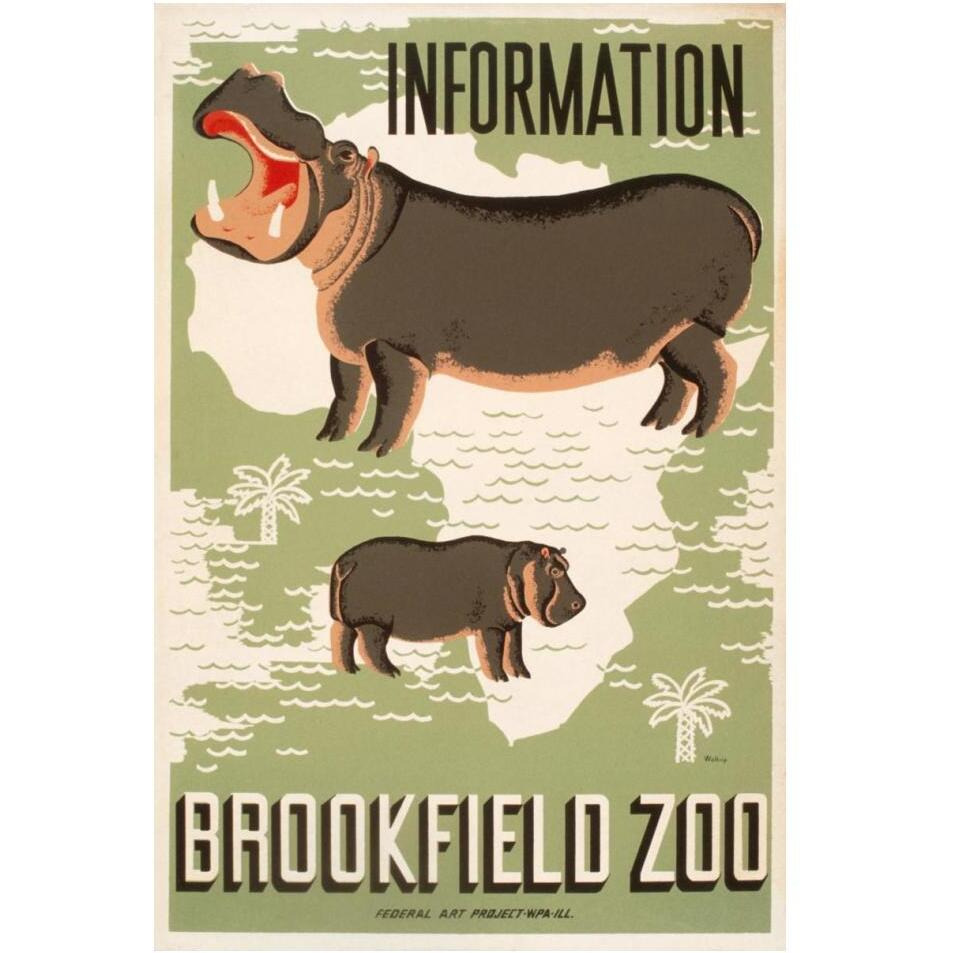 Information - Brookfield Zoo - Hippos-Paper Art-14&quotx20"