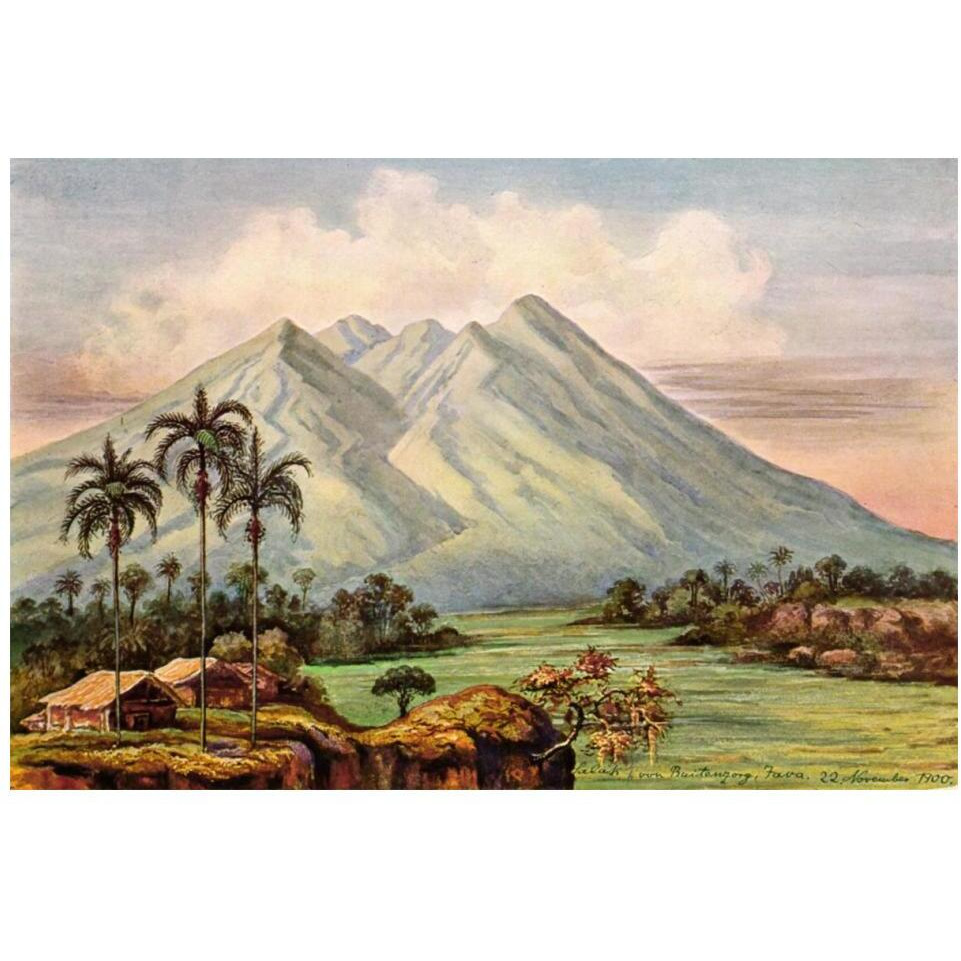 Der Vulkan Salak bei Buitenzorg-Paper Art-20&quotx14"
