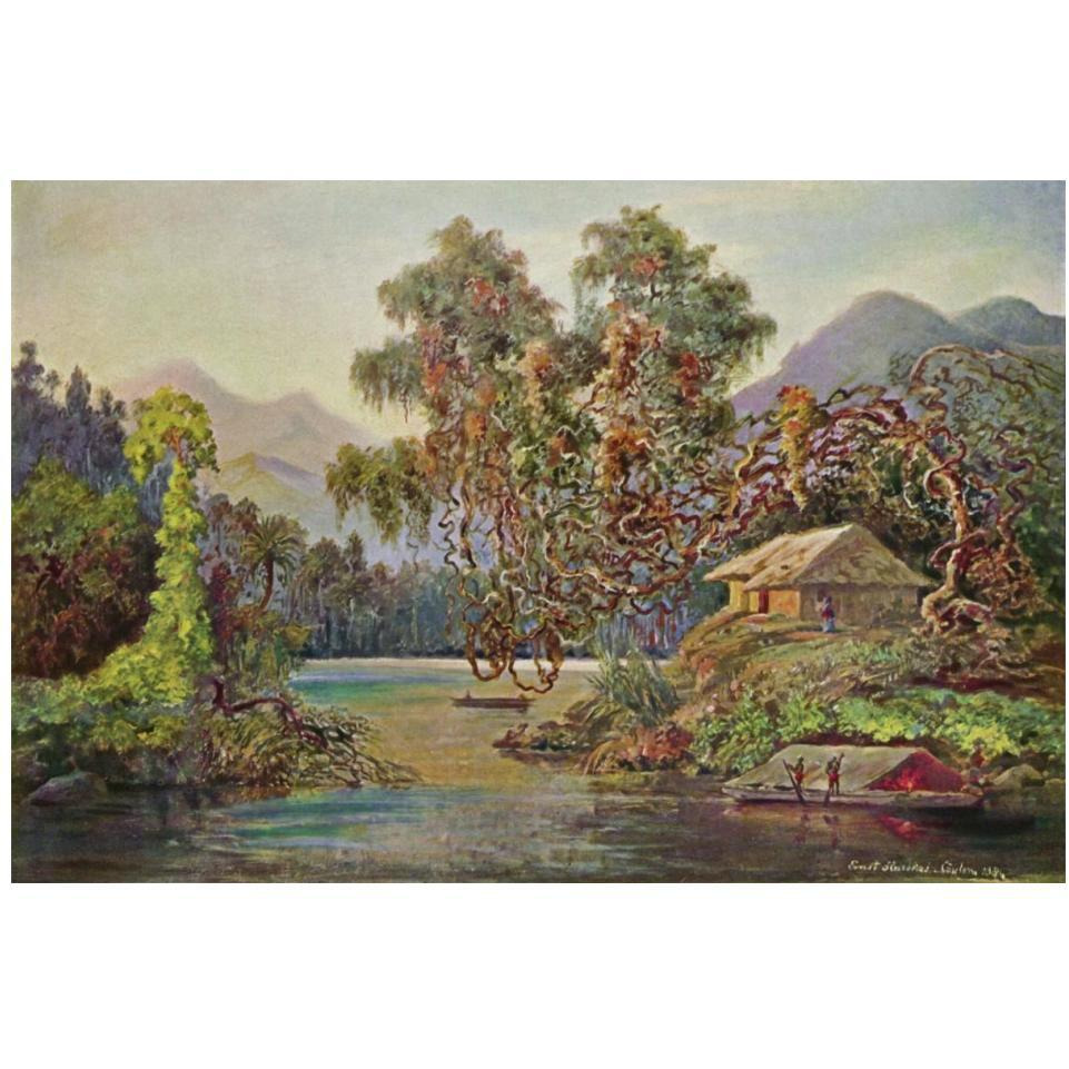 Aralien mit Lianen am Schwarzen Flusse (Ceylon)-Paper Art-20&quotx14"