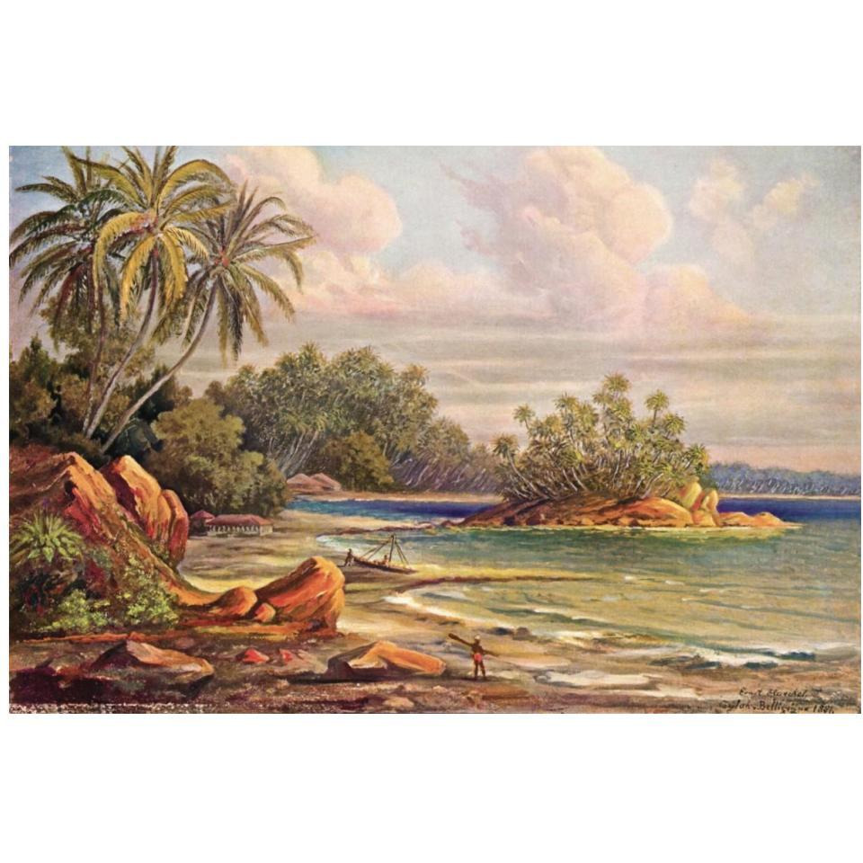Cocos-Insel bei Belligemma (Gan-Duva) Ceylon-Paper Art-20&quotx14"