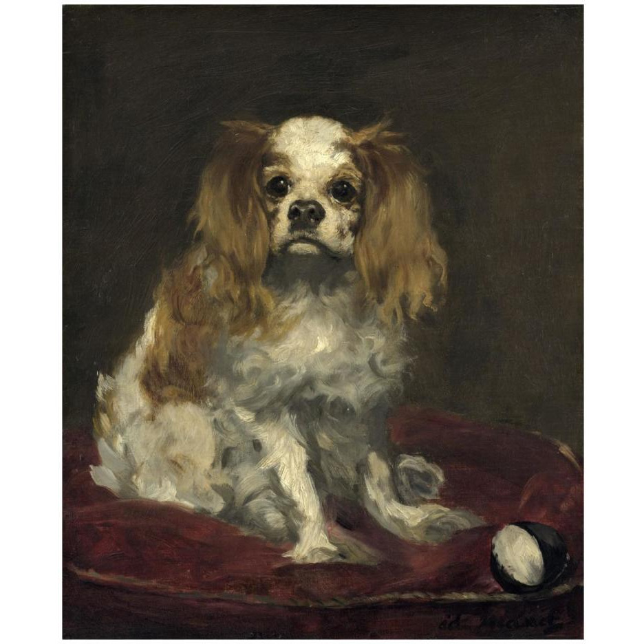A King Charles Spaniel-Paper Art-22&quotx26"