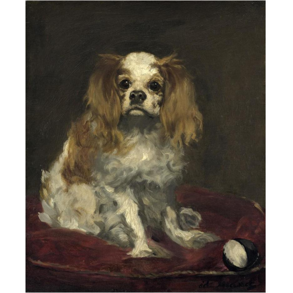 A King Charles Spaniel-Paper Art-24&quotx30"