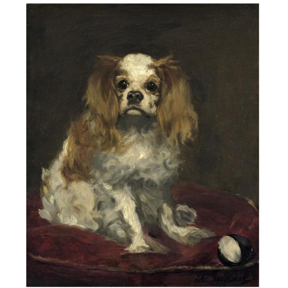 A King Charles Spaniel-Paper Art-30&quotx37"