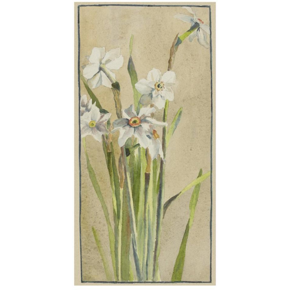 White Narcissus with Gray Accents-Paper Art-14&quotx26"