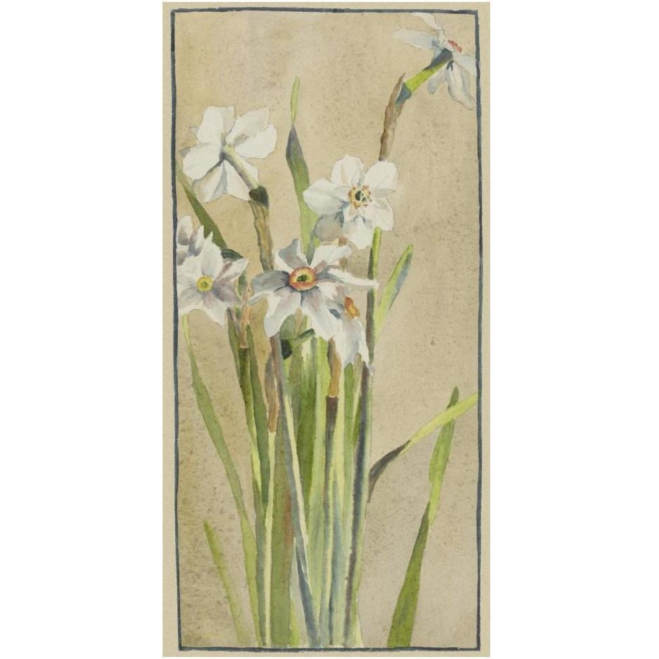 White Narcissus with Gray Accents-Paper Art-20&quotx38"