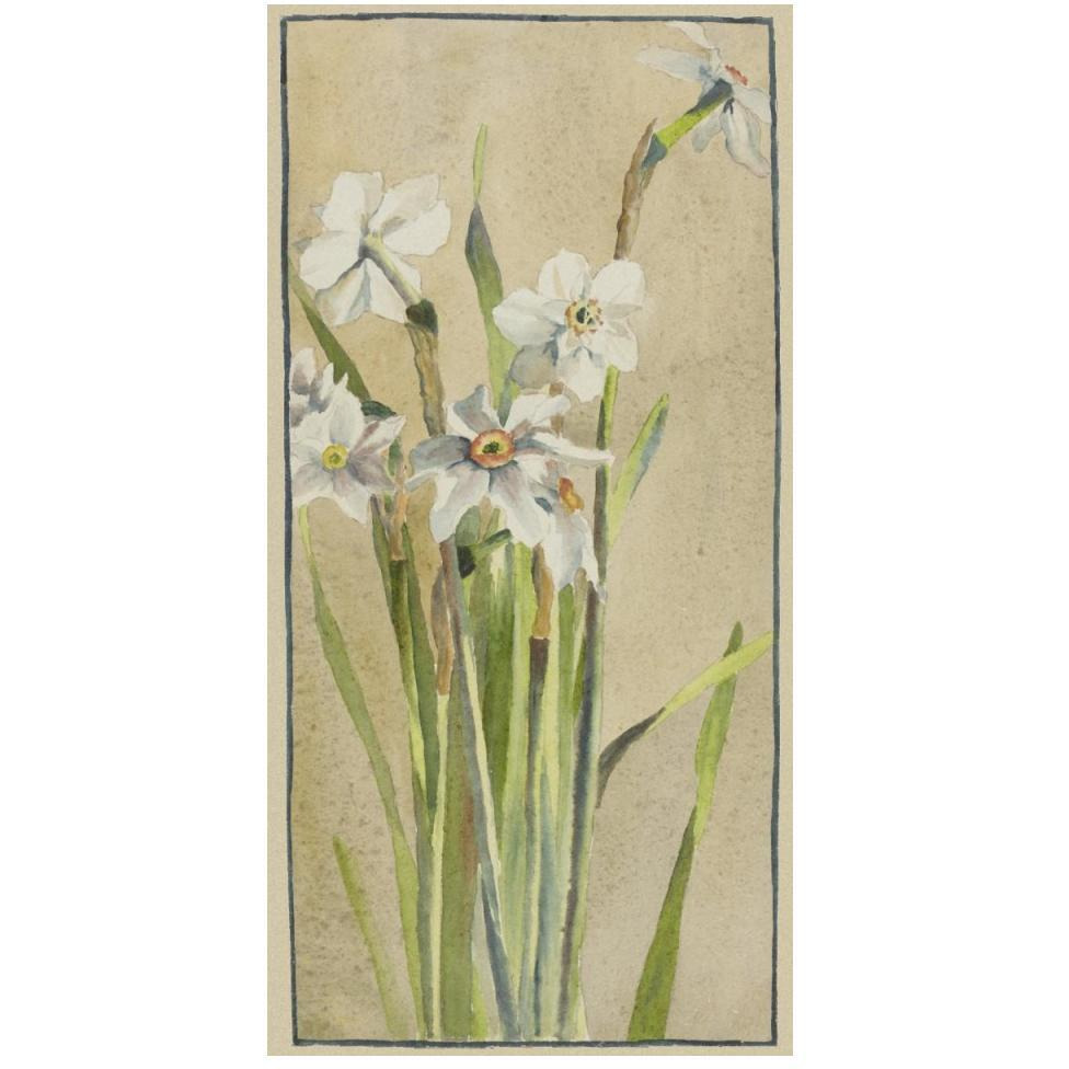White Narcissus with Gray Accents-Paper Art-26&quotx50"