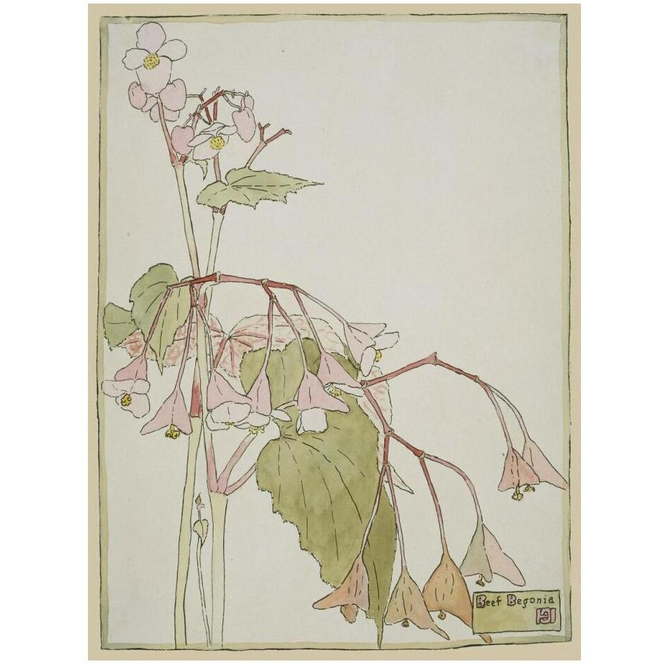 Beef Begonia-Paper Art-14&quotx18"